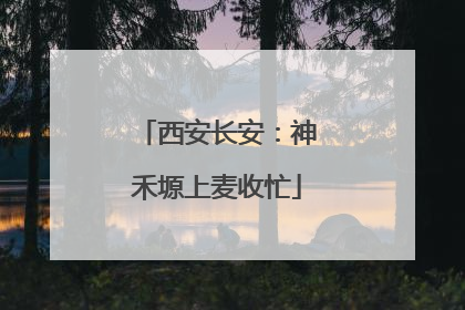 西安长安：神禾塬上麦收忙