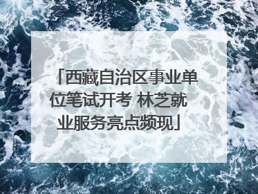 西藏自治区事业单位笔试开考 林芝就业服务亮点频现
