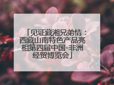 见证藏湘兄弟情：西藏山南特色产品亮相第四届中国-非洲经贸博览会