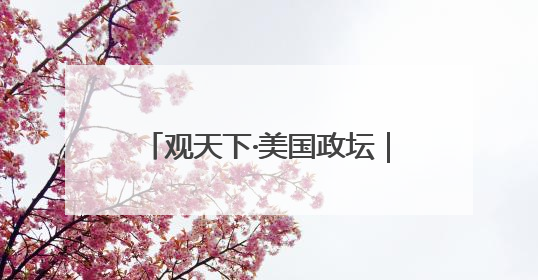 观天下·美国政坛｜马斯克为何称特朗普力推法案“令人作呕”