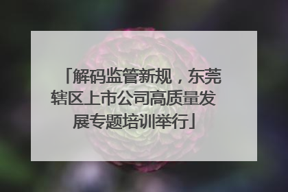 解码监管新规，东莞辖区上市公司高质量发展专题培训举行
