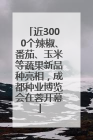 近3000个辣椒、番茄、玉米等蔬果新品种亮相，成都种业博览会在蓉开幕