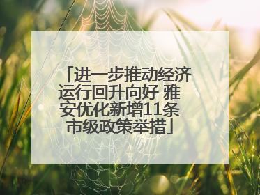 进一步推动经济运行回升向好 雅安优化新增11条市级政策举措