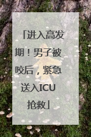 进入高发期！男子被咬后，紧急送入ICU抢救