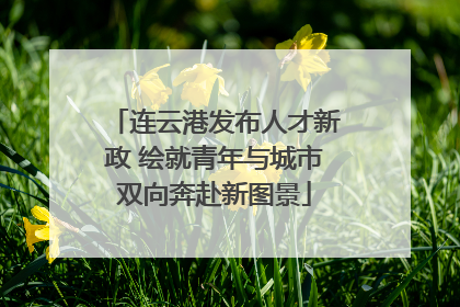 连云港发布人才新政 绘就青年与城市双向奔赴新图景
