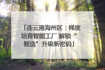 连云港海州区：梯度培育智能工厂 解锁“智造”升级新密码