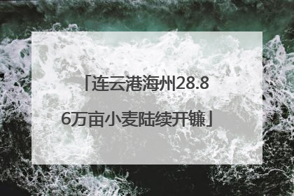 连云港海州28.86万亩小麦陆续开镰