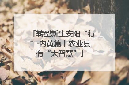 转型新生安阳“行”·内黄篇丨农业县有“大智慧”