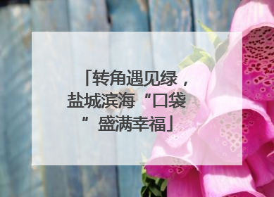 转角遇见绿，盐城滨海“口袋”盛满幸福
