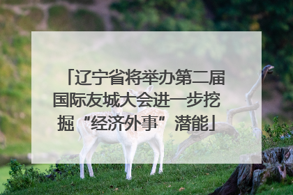 辽宁省将举办第二届国际友城大会进一步挖掘“经济外事”潜能