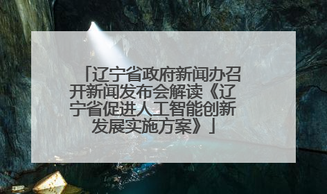 辽宁省政府新闻办召开新闻发布会解读《辽宁省促进人工智能创新发展实施方案》