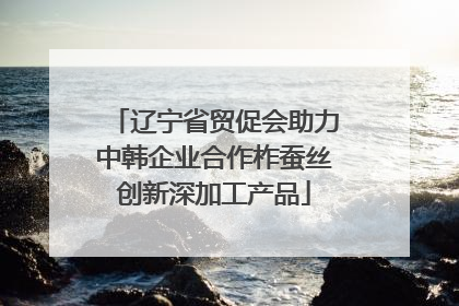辽宁省贸促会助力中韩企业合作柞蚕丝创新深加工产品
