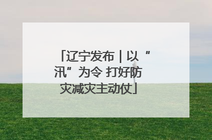 辽宁发布｜以“汛”为令 打好防灾减灾主动仗