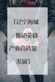 辽宁海城：推动菱镁产业高质量发展