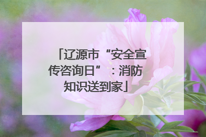 辽源市“安全宣传咨询日”：消防知识送到家