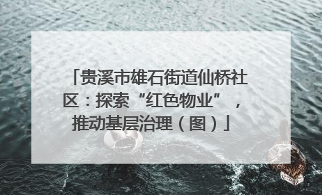 贵溪市雄石街道仙桥社区：探索“红色物业”，推动基层治理（图）