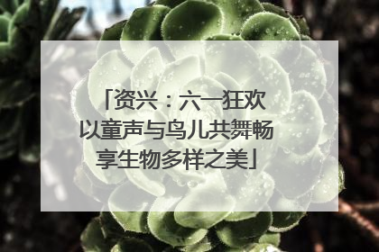 资兴：六一狂欢 以童声与鸟儿共舞畅享生物多样之美