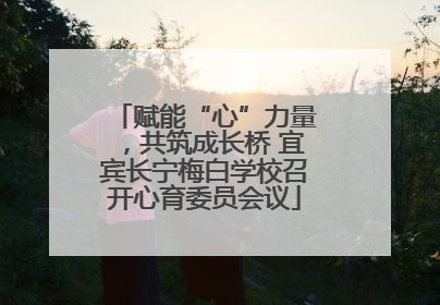 赋能“心”力量，共筑成长桥 宜宾长宁梅白学校召开心育委员会议