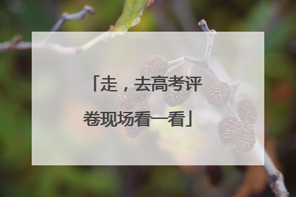 走，去高考评卷现场看一看