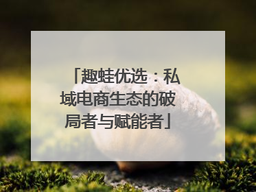趣蛙优选：私域电商生态的破局者与赋能者