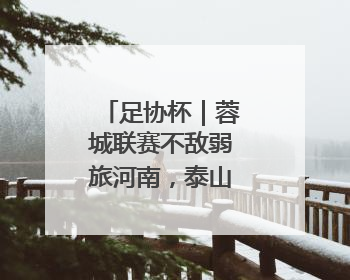 足协杯｜蓉城联赛不敌弱旅河南，泰山主场作战不妨“抄作业”