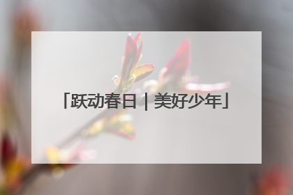 跃动春日｜美好少年