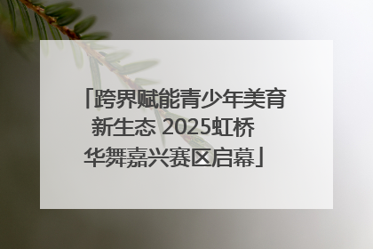 跨界赋能青少年美育新生态 2025虹桥华舞嘉兴赛区启幕