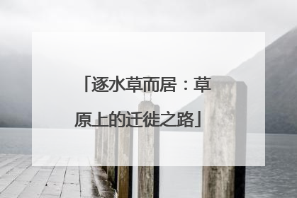 逐水草而居：草原上的迁徙之路
