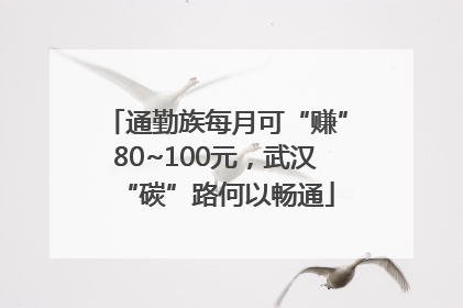 通勤族每月可“赚”80~100元，武汉“碳”路何以畅通