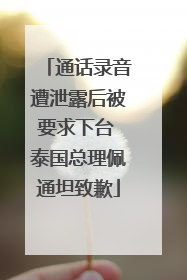通话录音遭泄露后被要求下台 泰国总理佩通坦致歉