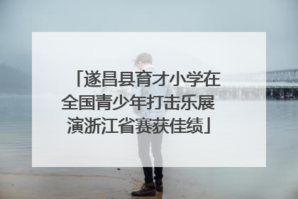 遂昌县育才小学在全国青少年打击乐展演浙江省赛获佳绩