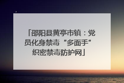 邵阳县黄亭市镇：党员化身禁毒“多面手” 织密禁毒防护网