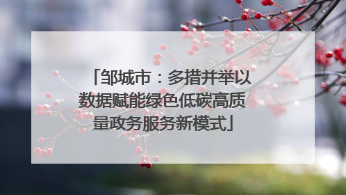 邹城市：多措并举以数据赋能绿色低碳高质量政务服务新模式