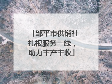 邹平市供销社扎根服务一线，助力丰产丰收