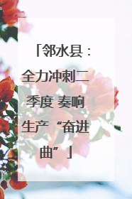 邻水县：全力冲刺二季度 奏响生产“奋进曲”