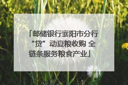 邮储银行襄阳市分行“贷”动夏粮收购 全链条服务粮食产业