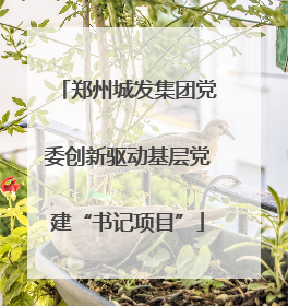 郑州城发集团党委创新驱动基层党建“书记项目”