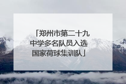 郑州市第二十九中学多名队员入选国家荷球集训队