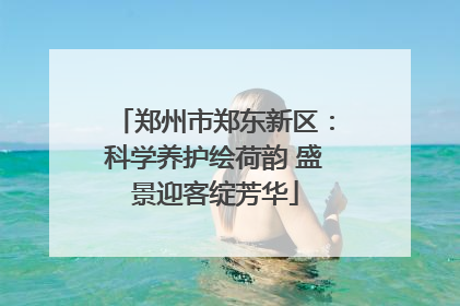 郑州市郑东新区：科学养护绘荷韵 盛景迎客绽芳华