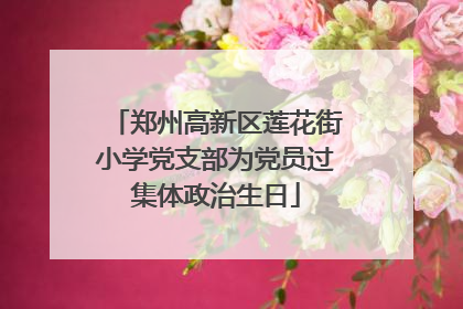 郑州高新区莲花街小学党支部为党员过集体政治生日
