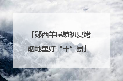 郧西羊尾镇初夏烤烟地里好“丰”景