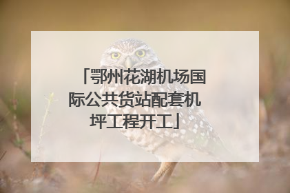 鄂州花湖机场国际公共货站配套机坪工程开工