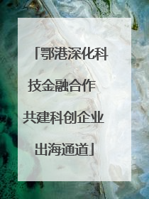鄂港深化科技金融合作 共建科创企业出海通道