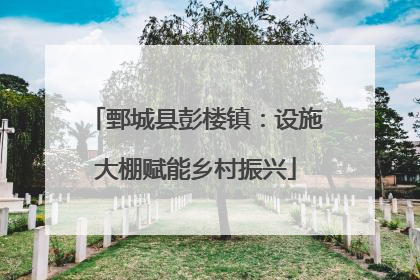 鄄城县彭楼镇：设施大棚赋能乡村振兴