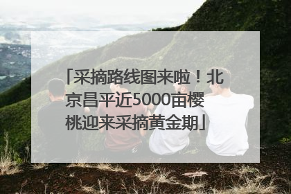 采摘路线图来啦！北京昌平近5000亩樱桃迎来采摘黄金期