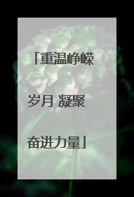 重温峥嵘岁月 凝聚奋进力量