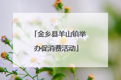 金乡县羊山镇举办促消费活动