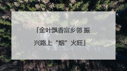 金叶飘香富乡邻 振兴路上“烟”火旺