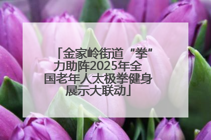 金家岭街道“拳”力助阵2025年全国老年人太极拳健身展示大联动