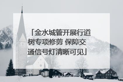 金水城管开展行道树专项修剪 保障交通信号灯清晰可见